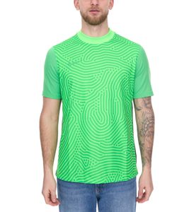 NIKE Gardien III men's goalkeeper jersey with Dri-FIT technology sustainable football sports shirt BV6714-398 green