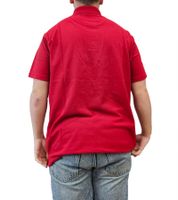 SANTINO Cws Herren schlichtes Polo-Shirt mit Baumwollanteil Kurzarm-Shirt Blau, Grün, Weiß, Rot oder Schwarz
