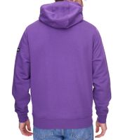 Mercedes-Benz AMG Petronas Lewis Hamilton Pull à capuche en coton pour homme 701222302 Violet ou noir