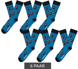 6 paia di calzini di cotone Moustard Manekineko con calze lunghe a fantasia di gatto 22S-MANEKI Blu/Nero