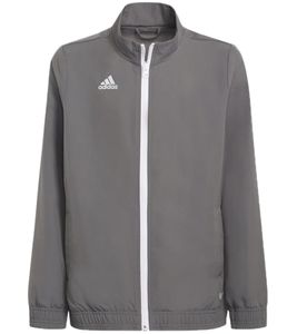 adidas Entrada 22 children's sports jacket with AEROREADY technology for boys and girls fitness jacket H57539 light grey/white