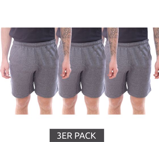 3er Sparpack NIKE Park 20 Fleece Short Herren Baumwoll-Shorts Sport-Hose Fitness-Short CW6910-071 Grau