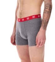 Pack of 5 CR7 CRISTIANO RONALDO Basic Trunk men's boxer shorts, breathable cotton underpants, underwear 300-8125-49-2316 Red/Gray/Navy/Black