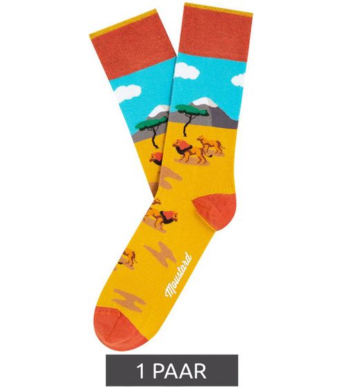 1 pairs of Moustard Lion cotton socks with lions in the steppe patterned long socks 19S-LION yellow/blue/orange