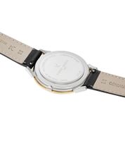 Pierre Cardin men's wristwatch in gift box analog quartz watch with leather strap 3ATM 40mm CPI.2015 Silver/Gold/Black