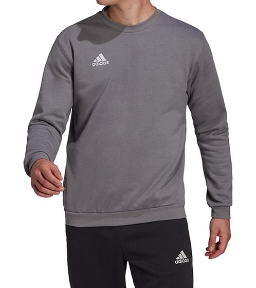 adidas Entrada 22 SW-Top Herren Rundhals-Pullover nachhaltiger Herren Baumwoll-Sweater Sweatshirt H57479 Grau