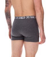 Lot de 10 boxers pour homme CR7 CRISTIANO RONALDO Basic Trunk en coton respirant 300-8125-49 Rouge/Gris/Marine/Noir/Coloré/Or