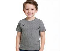 Pack de 2 camisetas deportivas PUMA TeamGoal 23 para niño y niña, de algodón con parche del logotipo, talla 656709 33, gris Pack de 2 camisetas deportivas PUMA TeamGoal 23 para niño y niña, de algodón con parche del logotipo, talla 656709 33, gris