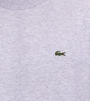 Lacoste Men's Sweatshirt with Logo Embroidery, Basic Pullover, Modern Cotton Sweater, Long-Sleeved Shirt SH9608 00 CCA Gray Lacoste Men's Sweatshirt with Logo Embroidery, Basic Pullover, Modern Cotton Sweater, Long-Sleeved Shirt SH9608 00 CCA Gray