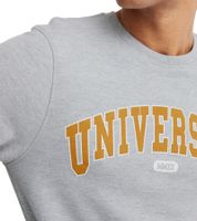 11 PROJECT Davin Men's Sweater with UNIVERSITY Front Print, Cotton Sweatshirt, 20715943 200274 Gray