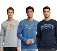 11 PROJECT Davin Herren Sweater mit UNIVERSITY Frontprint Baumwoll-Sweatshirt 20715943 in Dunkelblau, Grau oder Blau