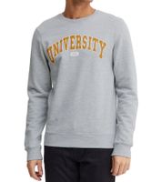 11 PROJECT Davin Herren Sweater mit UNIVERSITY Frontprint Baumwoll-Sweatshirt 20715943 in Dunkelblau, Grau oder Blau