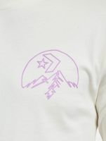 Converse Counter Climate Longsleeve Dunkelrote Reiher