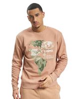 STAPLE Peachtree Rundhalspullover rot