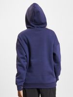 Sudadera con capucha Sage azul medieval de TheJoggConcept
