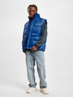 TheJoggConcept Alex gilet principessa blu