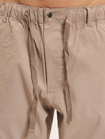 REDEFINED REBEL Adrien Cargohose taube