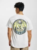 Airwalk PTerry Colour T-Shirt weiß