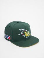 Gorra snapback verde de los Dragones del Barcelona de la Liga Europea de Fútbol