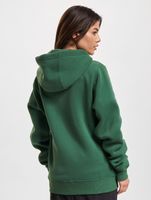 European League Of Football Barcelona Dragons Territory Zip Hoody grün