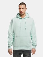 CAYLER & SONS  Plain Hoodies Vogeleigrün