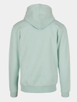 CAYLER & SONS  Plain Hoodies Vogeleigrün