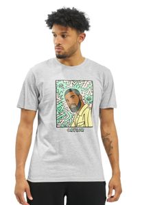 CAYLER & SONS  WL Northern Lines Tee hellgrau/mc