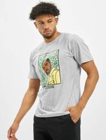 CAYLER & SONS  WL Northern Lines Tee hellgrau/mc