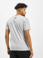 CAYLER & SONS  WL Northern Lines Tee hellgrau/mc