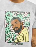 CAYLER & SONS  WL Northern Lines Tee hellgrau/mc