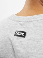 CAYLER & SONS  WL Northern Lines Tee hellgrau/mc