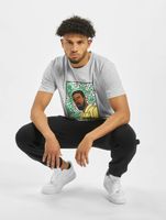 CAYLER & SONS  WL Northern Lines Tee hellgrau/mc