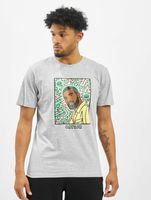 CAYLER & SONS  WL Northern Lines Tee hellgrau/mc