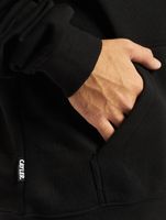 CAYLER & SONS WL Cher Voyage Japanese Flowers Hoody schwarz/mc