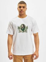 CAYLER & SONS  Wl B Rich T-Shirt weiß/mc