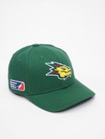 Gorras snapback de los Dragones del Barcelona de la Liga Europea de Fútbol, color verde edén
