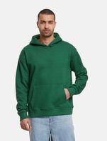 European League Of Football Blanko Hoodies eden green