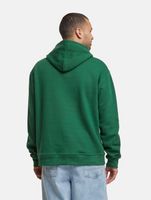European League Of Football Blanko Hoodies eden green