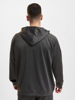 Giacca di transizione Fehérvár Enthroners della European League of Football antracite