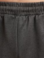 European League Of Football Prague Lions 1 Shorts anthrazit