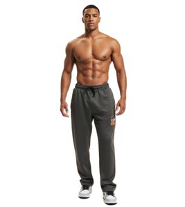 European League Of FootballHelvetic Guards jogging pants anthracite