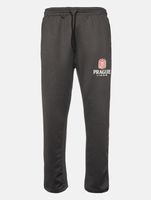 European League Of FootballPrague Lions jogging pants anthracite