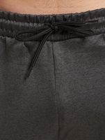 DefShop x European League of Football Raiders Tirol Jogginghose anthrazit