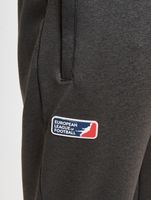 DefShop x European League of Football Raiders Tirol Jogginghose anthrazit