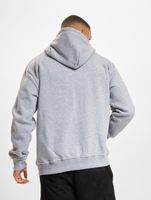 European League Of FootballHelvetic Guards 1 Zip Hoodies gray melange