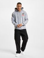 European League Of FootballHelvetic Guards 1 Zip Hoodies gray melange
