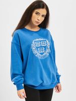 Maglione blu per ragazzi NO LOVE Broken Heart