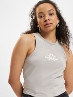 Low Lights Studios Superstar Crop Top gris clair gris clair Low Lights Studios Superstar Crop Top gris clair gris clair