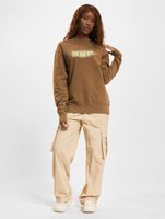HUF Quality Crewneck Unisex Sweater in Mud