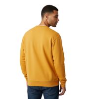 Sporty & Rich Srhwc Herren Rundhals-Sweatshirt moderner Baumwollpullover Orange 